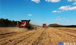 黑龙江农场爆料视频最新,揭秘神秘农业生态圈