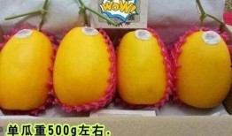 免费高质量吃瓜视频下载